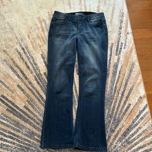 Democracy “Ab” solution 6p